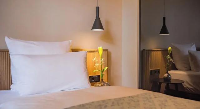 Одноместный номер Standard Gutshotel Menterschwaige - Heritage Boutique Hotel with Timless Elegance