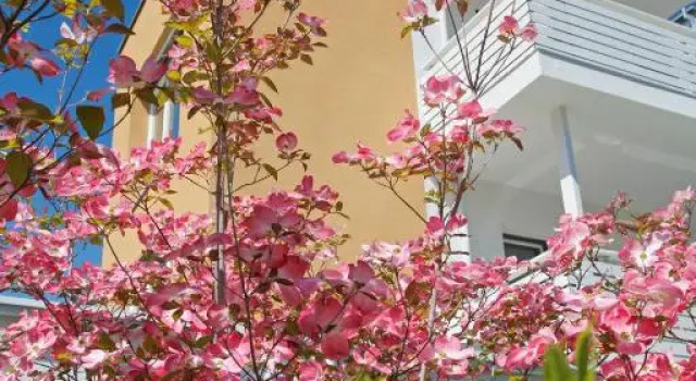 Jardis Boutiquehotel - Adult Only