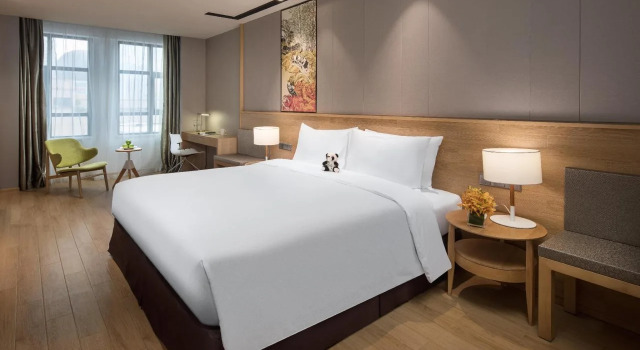 MiniMax Premier Hotel Chengdu CityCenter, Rezervovat Hotel Hotely v Sichuan s bazénem, Bazén