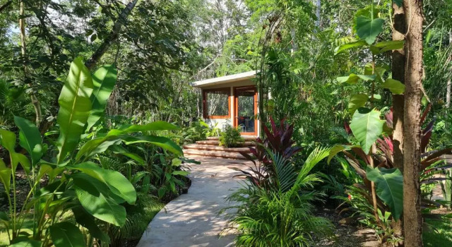 Secret Gardens Bacalar Suite 01 con alberca y bicicletas, Prenota Hotel Hotel a Quintana Roo con piscina, Piscina