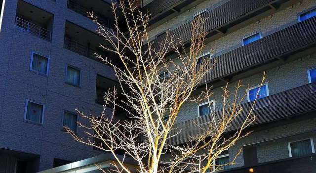 noku OSAKA