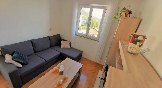 Apartment Ribnjak 10