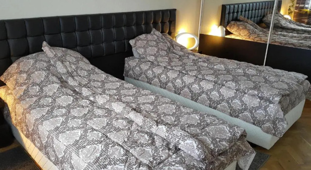 Apartment Plamen Delux