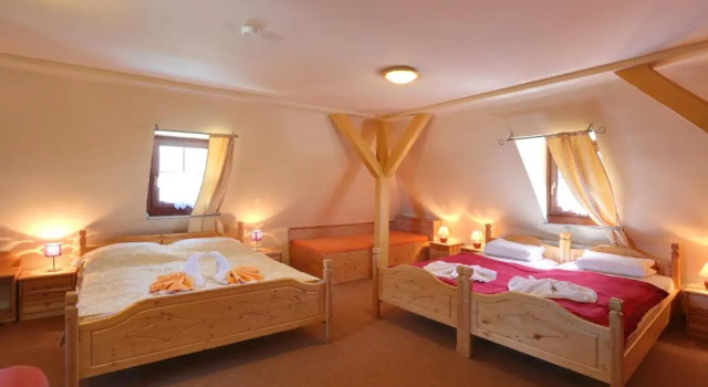 Четырёхместный номер Standard Hotel Zelený Dům