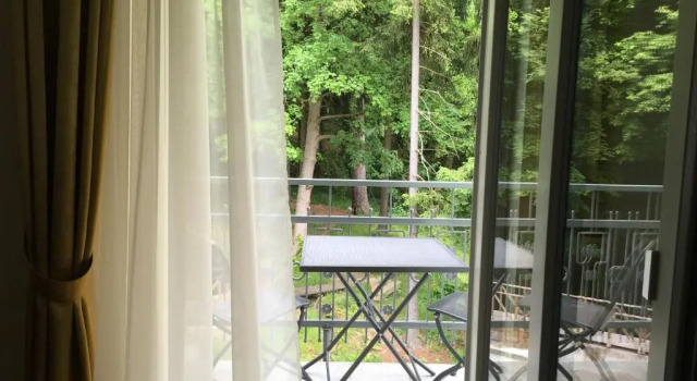 Люкс Parkhotel Forest