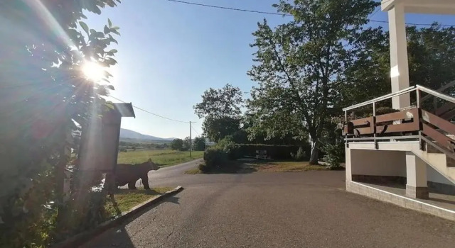 Apartments Luka, Rezervovat Apartmán Levné hotely v Rakovica