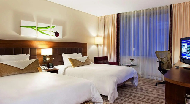 Двухместный номер Hilton Garden Inn Konya