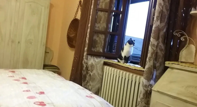 Номер Standard B&B La Gerbolina