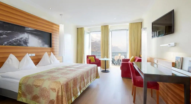 Двухместный номер Executive с балконом и с видом на озеро Seehotel Waldstätterhof Swiss Quality