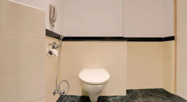 Студия Lemon Tree Hotel Hinjewadi Pune
