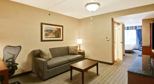 Люкс c 1 комнатой Hilton Garden Inn Toronto/Burlington