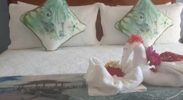 Sommerville Resorts, Boek Bed and Breakfast SPA-hotels in Westmoreland, SPA