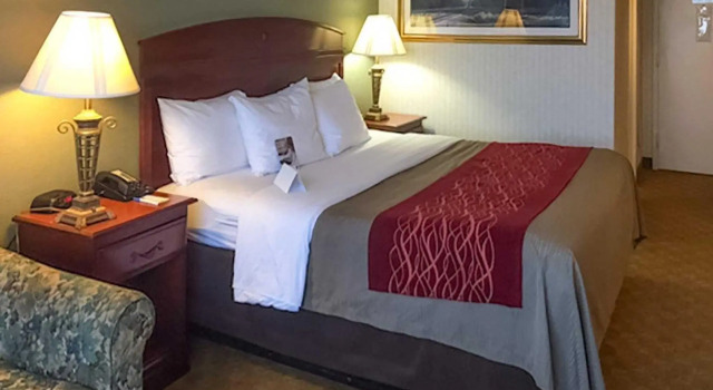 Номер Standard Comfort Inn Springfield