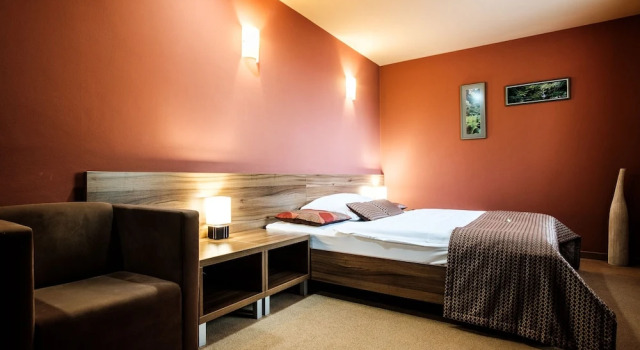 Номер Comfort Hotel Comfort with free Wellness and Fitness Centrum