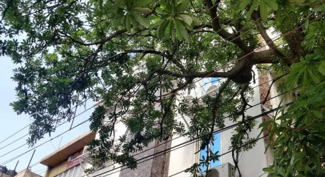 Hotel Green Arrow Rohini
