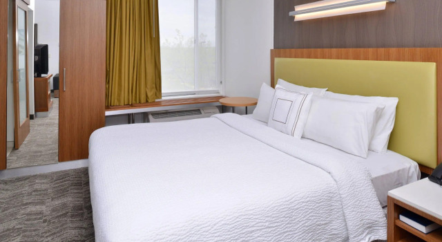 Двухместный люкс SpringHill Suites Ashburn Dulles North