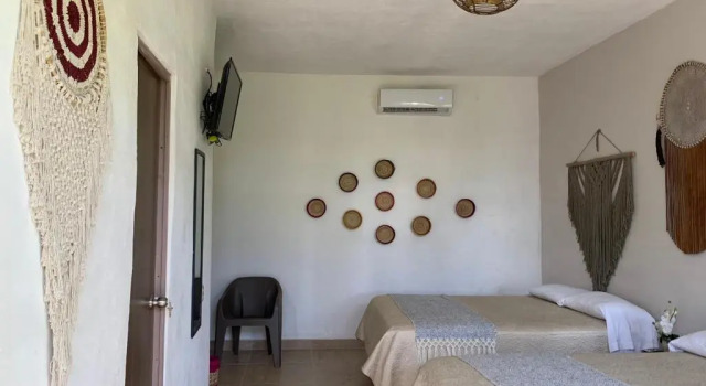 Четырёхместный номер Standard с видом на сад Casa Delia Hotel Downtown