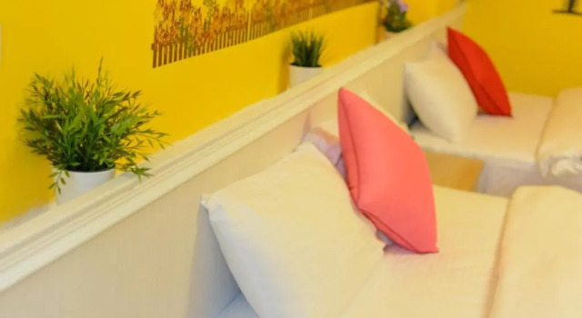 Номер Standard Shell Inn