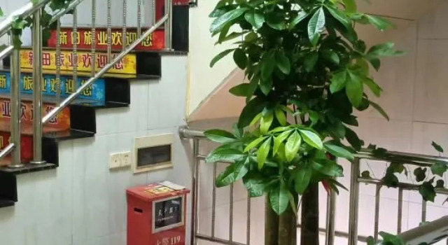 Xintian Lvye Hotel, Rezervasyon Otel Guangdong otoparklı oteller, Otopark