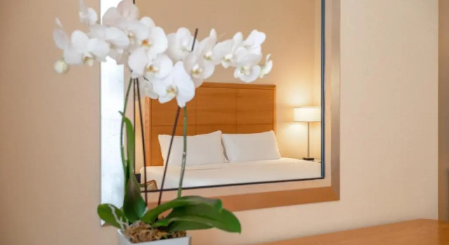 Двухместный номер Superior Room Mate Collection Mia, Rome Colosseum