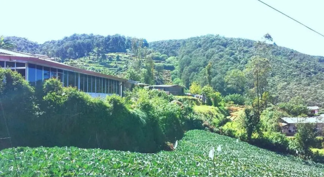 Windy Hills Holiday Bungalow