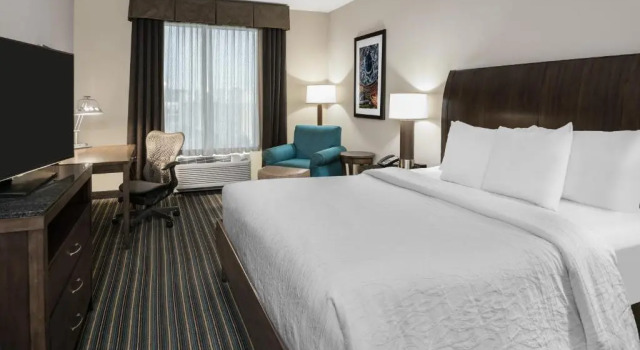 Двухместный номер Hilton Garden Inn San Antonio At The Rim