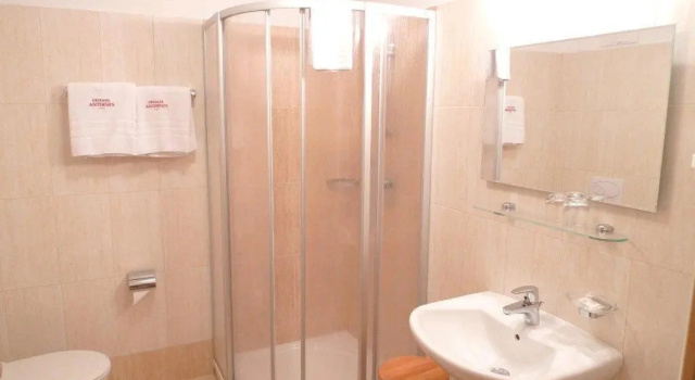 Апартаменты Пентхаус Family and Wellness Residence Ciasa Antersies