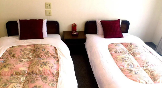 Двухместный номер Standard Tenjin Lodge