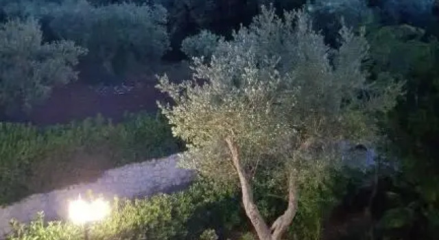 B  B La Mansarda, Varaa Hotelli Santa Lucia Apulia