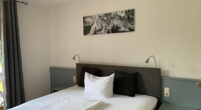 Balkonlu Standart çift kişilik oda Parkhotel Cham