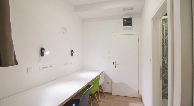 Dandelion boutique hostel