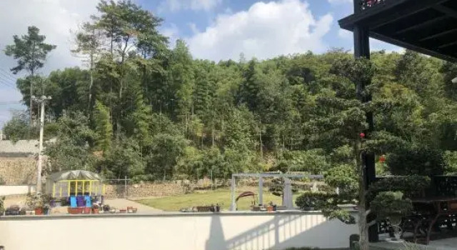 No. 08, Xiabailanwu Natural Village, Shanchuan Village, Anji Shanchuan Township, Zhejiang, China