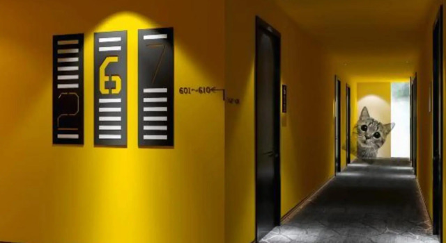 Jianjing Movie Hotel (Xiangtan Baishi Park), Prenota Hotel Xiangtan County Hunan