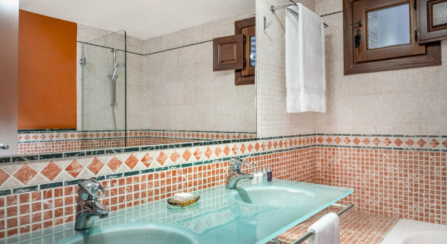 Двухместный полулюкс Hotel Palacio de Santa Paula, Autograph Collection