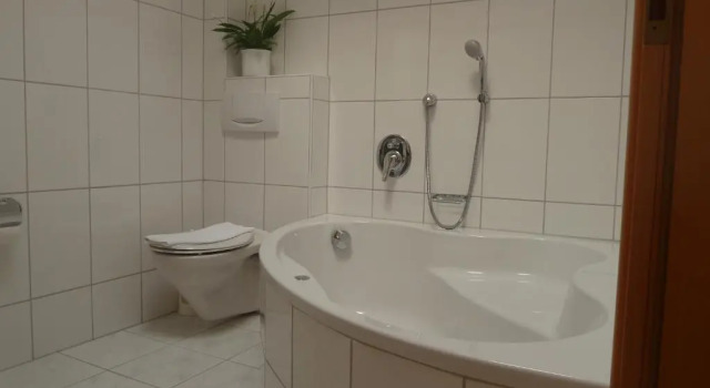 Двухместный номер Standard Hotel Schön