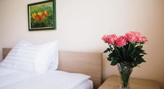 Одноместный номер Standard Hotel - Pension Vesta