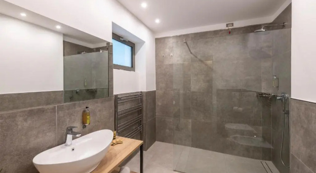 Студия Deluxe Evo Suites Apartments