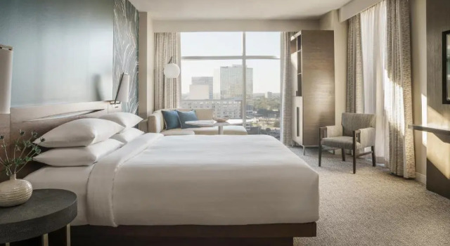 Двухместный номер Deluxe Hyatt Regency Houston Galleria