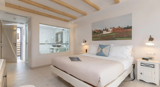 Двухместный номер Standard с частичным видом на море Naxos Island Hotel