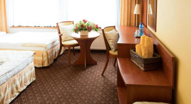 Двухместный номер Standard Hotel Astra Tajemniczy Ogród