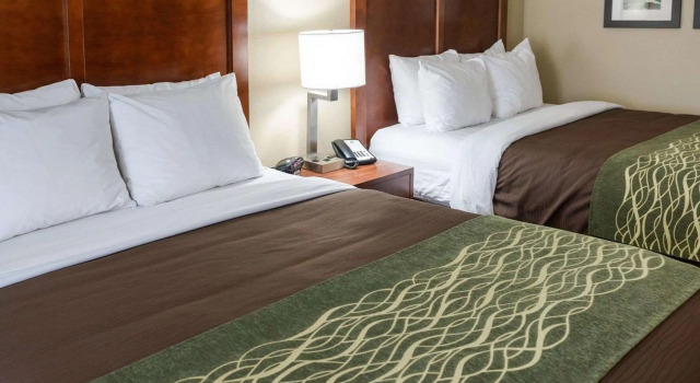 Четырёхместный люкс Comfort Inn & Suites West - Medical Center