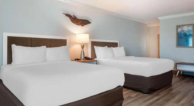 Четырёхместный номер Standard с частичным видом на океан Dolphin Sands Clearwater Beach, an Ascend Collection Hotel