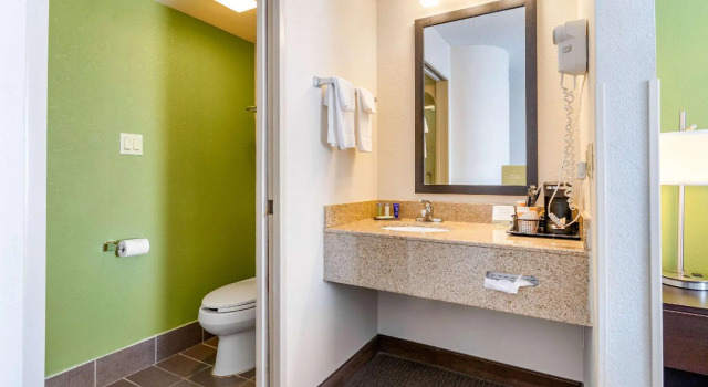 Двухместный номер Standard Sleep Inn I-95 North Savannah
