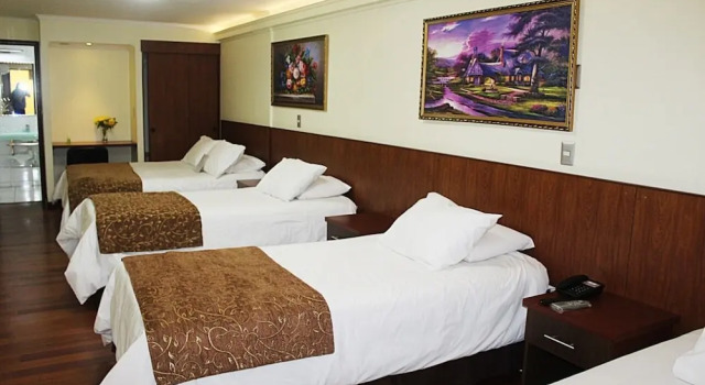 Трёхместный семейный номер Standard Hotel Newen