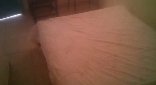Двухместный номер Standard South Tetu Guest House