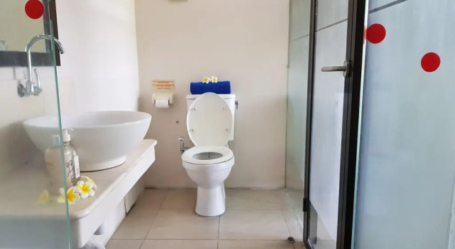 Номер Deluxe Sanur Agung Hotel