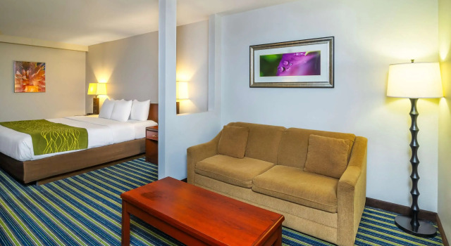 Двухместный люкс Comfort Inn & Suites