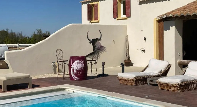 Двухместный номер Standard с видом на бассейн Mas Lou Caloun - Chambre dHôte face à la piscine en Camargue - Les Saintes Maries de la Mer
