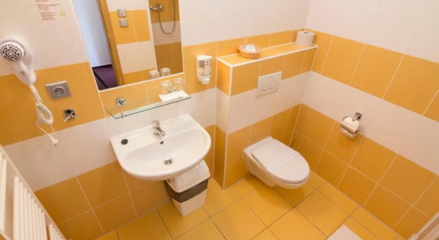 Двухместный номер Standard Penzion Maděřič