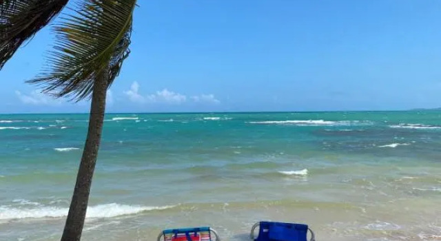 Blue Leaf by the Sea, Prenota Hotel Hotel a Luquillo con parcheggio, Parcheggio